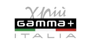 GammaPiu