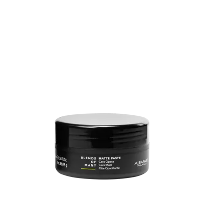 Стилизираща паста за коса с матов ефект и средна фиксация Alfaparf Blends of Many Matte Paste 75ml