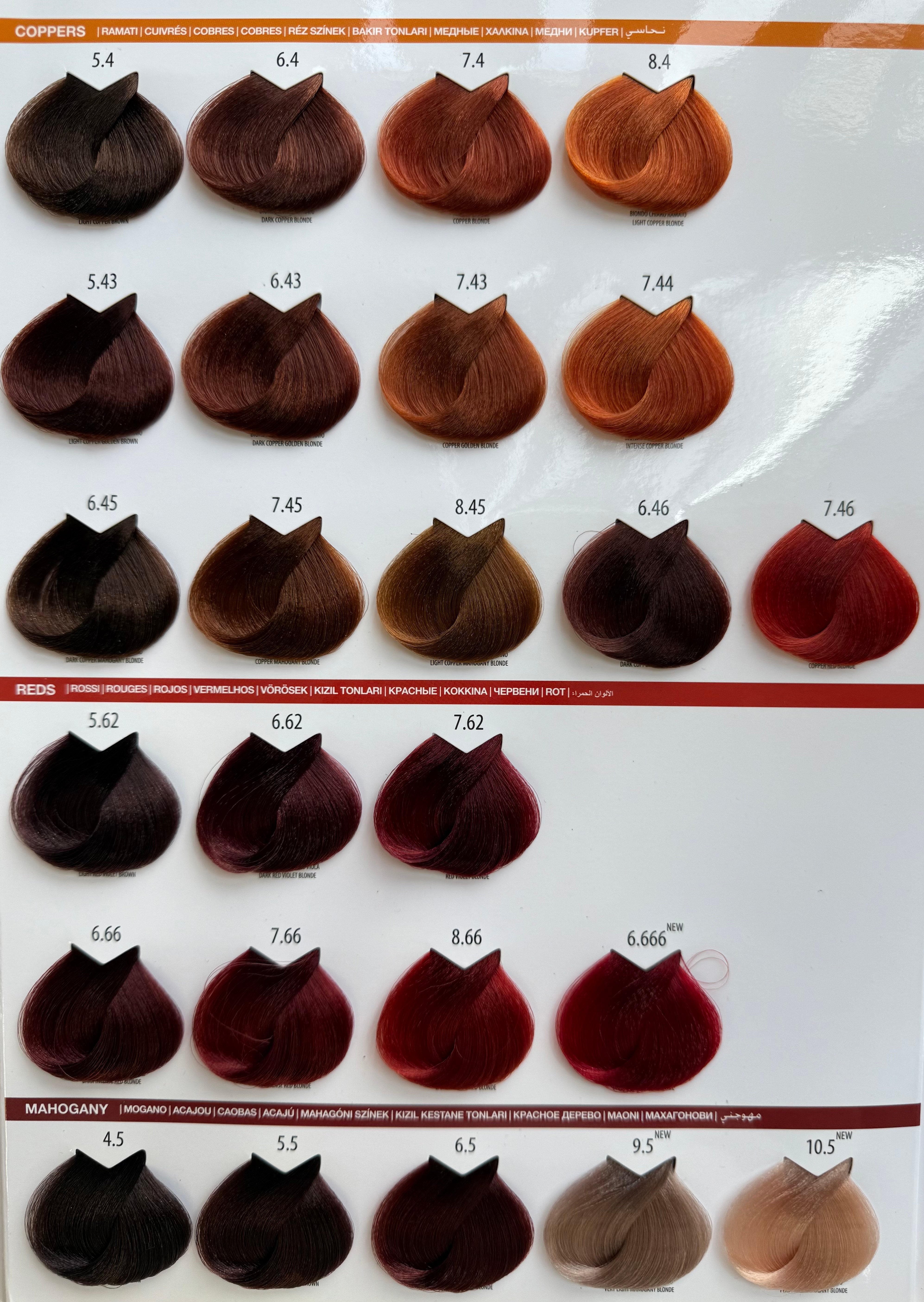 Shade chart 4