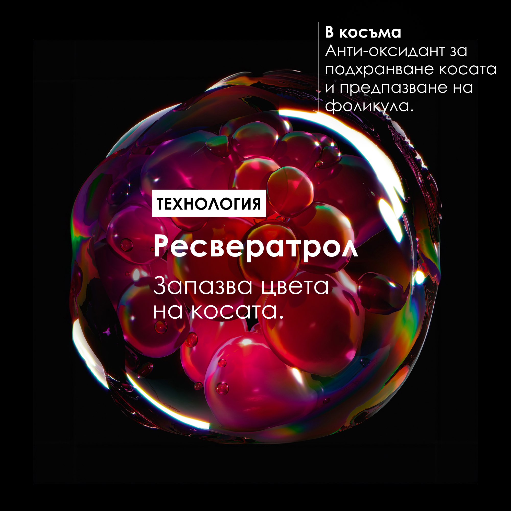 Лимитирана празнична кутия L'Oreal Professionnel Vitamino Color — снимка 6