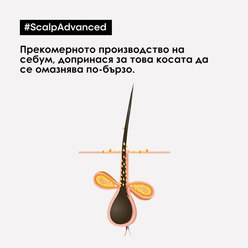 Почистващ шампоан за коса, склонна към омазняване Loreal Professionnel Serie Expert Scalp Advanced Anti-Oiliness Dermo-Purifier Shampoo 300ml — 3